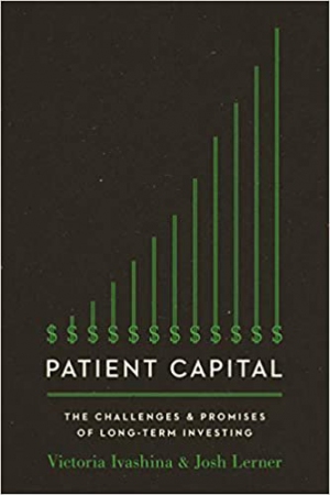 Patient Capital : The Challenges and Promises of L...